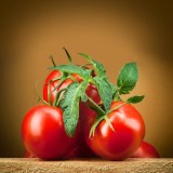 Tomatoes-600x600_0x160 Наш сад