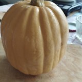 photo_2025-11-17_14-12-23_0x160 Наш сад