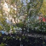 IMG_20260508_174648