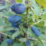 IMG_20260604_191711