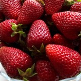 Альбион3_0x160 Любимый сад