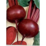 Бордо237_0x160 Наш сад