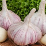 Орловский_0x160 Наш сад