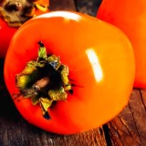 Прок_0x160 Наш сад