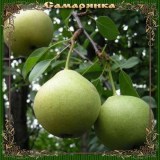 Самарянка_0x160 Любимый сад