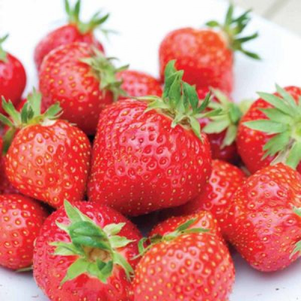 Анаис image Анаис Клубника: Анаис