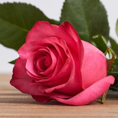 Лола5 image Лола5 Чайно-гибридные: Лола